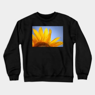 Afternoon Delight Crewneck Sweatshirt